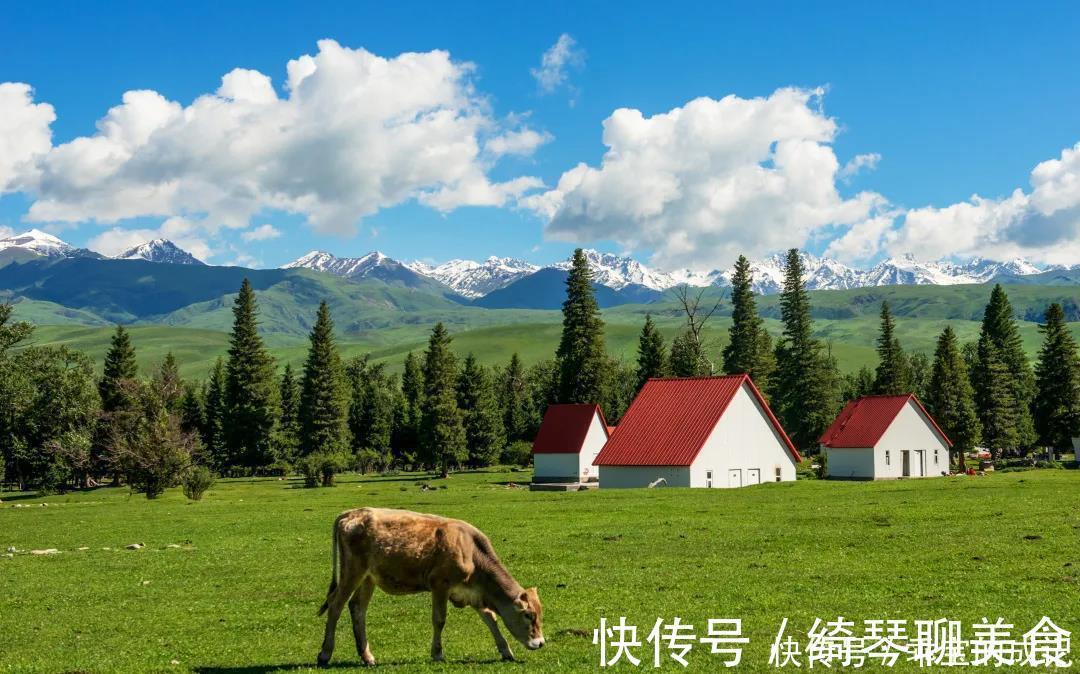 薰衣草|横跨崇山峻岭，穿越深山峡谷，独库公路“纵贯天山的景观大道”