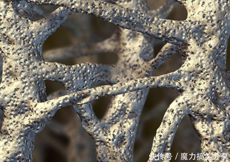 破骨细胞|107岁老人,年轻像67岁,长寿秘诀不是多走路,而是这3件事