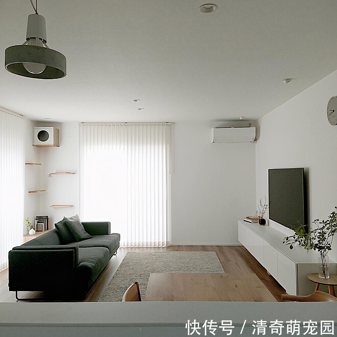 日本太太坚持一天收拾一个区域,家里整洁有序,真的很治愈