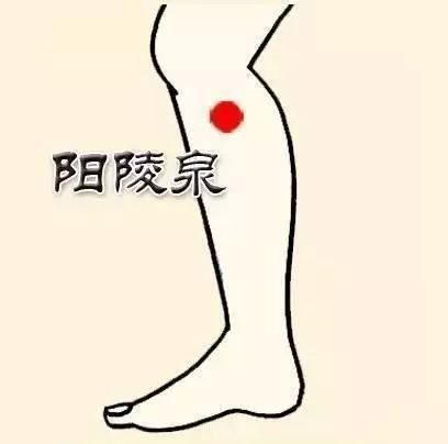  疾病|身体365个穴位，无非这8穴，此8穴治疗身体一切疾病，收了吧！