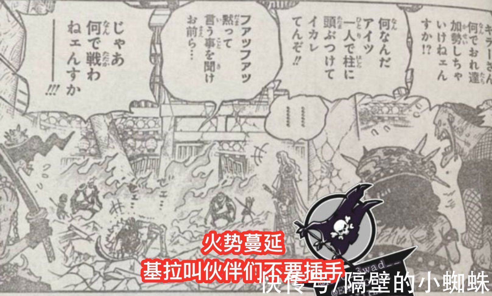 小蜘蛛|海贼王1029话图透,基拉求霍金斯放过基德,他可以用自己的命换