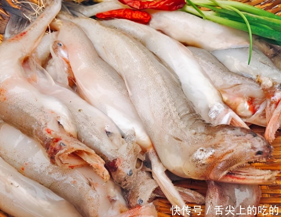 首选|鲤鱼鲫鱼比不过,这3种海鱼才是“营养首选”!老板:会吃是行家