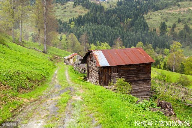 陈毅写了绝笔诗《梅岭三章》,没曾想解围了,谁解的围你知道吗?