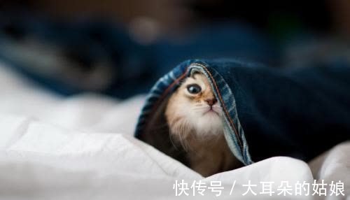 |幽默笑话:第一次领着女友回家,母亲有点不太满意我找外地媳妇