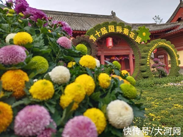 宋装|中国开封第39届菊花文化节｜百万株名品菊花邀你奇妙游清园