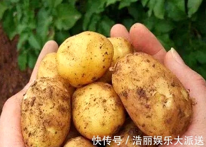 知识|不管家里多有钱，泡完土豆丝的水别倒掉，真的“值钱”，涨知识了