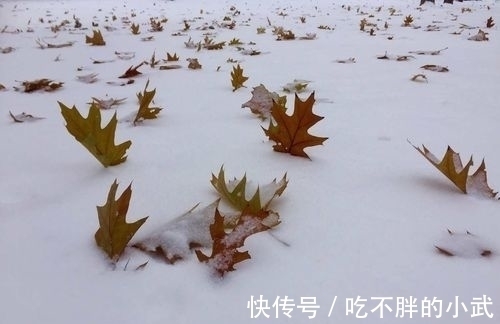 悲愁&罗隐的一首《雪》,短短八句话,不提一个雪字,却细腻逼真