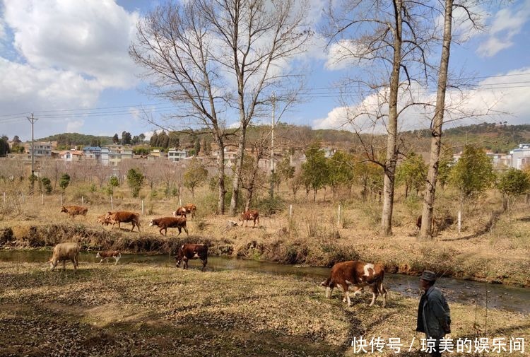 昆明走进自然户外｜乐走牧羊河上段，邂逅甸头村湿地，惊喜连连