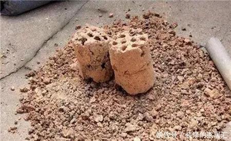 遇见|冬天垃圾堆旁这东西,遇见带回家,掺在花盆里,啥花都喜欢!