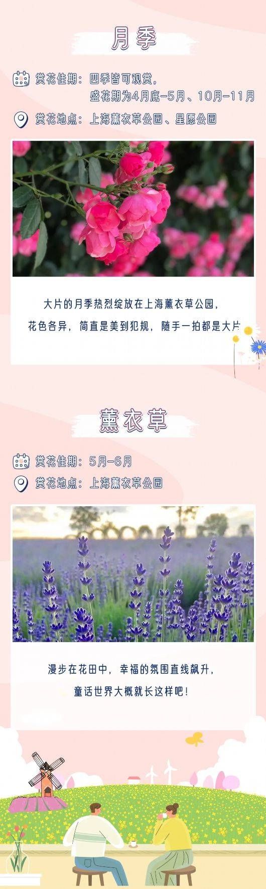 来这里，寻一场春的梦境吧