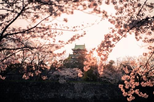  微贱|她出身微贱，却纠缠于两位名士之间，因一场官司名噪一时