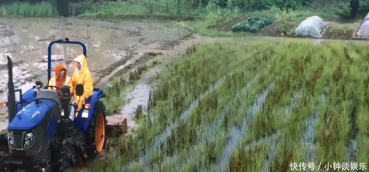 擂茶 杨紫说擂茶难磨,张艺兴拍了她一次背四次手鼓励,还说:我帮你弄