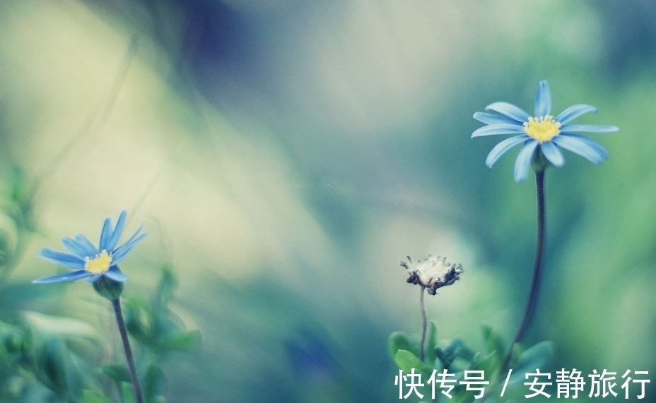 旧爱|7月半，花好月圆，旧爱团圆，3生肖迎面桃花，昨日重现，续写前缘