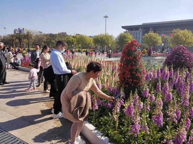 低薪|东莞“小蛮腰”刷屏朋友圈！牛年这些景点很“红”