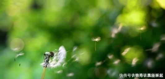 投资理财|出生在几点钟的孩子，有财神爷庇护，旺父旺母旺全家，富足安康