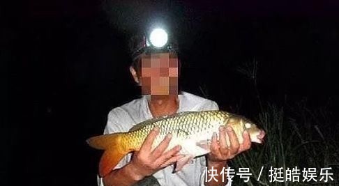 夜钓鲤鱼,真的不用吹,这套钓法最管用,大鲤鱼接连入护