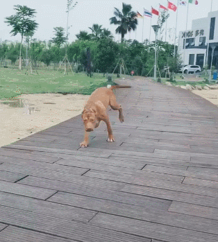 |【搞笑动态图】尴尬而不失礼貌