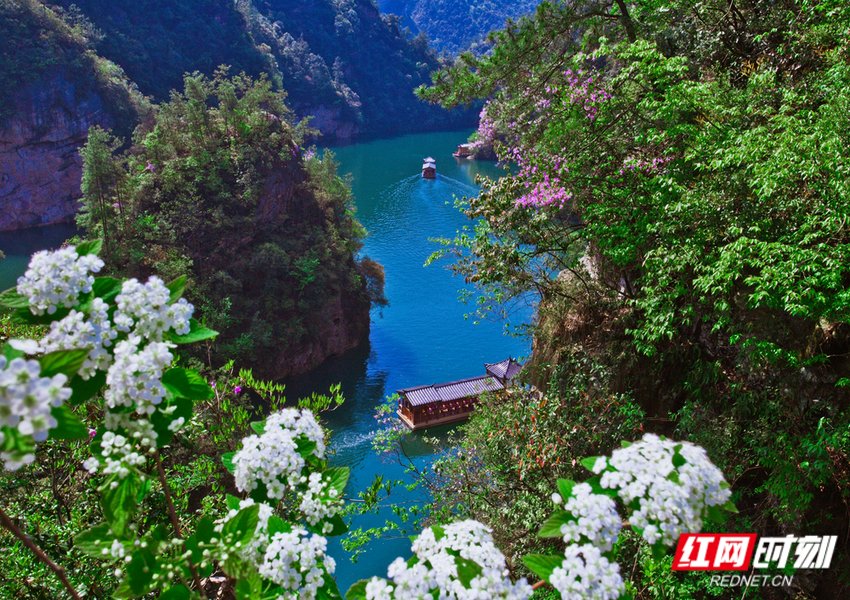 绝景|向往的张吉怀丨张家界：峰林绝景之外，民俗演艺与民宿旅游放异彩