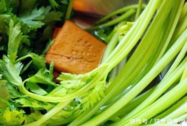 【草丁图书馆】不想血管被堵死,生活中这3物要多吃,清理血管垃圾,降压又降脂