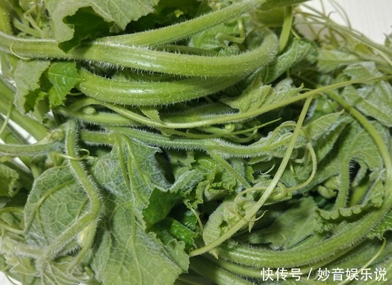 从不|遇到这菜我从不手软,一次买三把,调经养血,识货的都抢着买