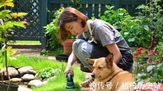 庭院|理想的生活,一定要有一个种满花植的庭院,经过自己精心打造