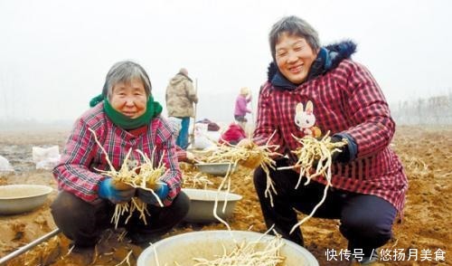 特产|河南老乡应该都认识的5种特产美食,但是你敢说你全吃过吗