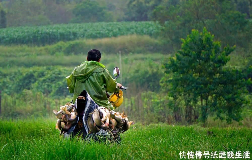 闽北|高手在民间,闽北神奇弓鱼术,能让鱼离水几天不死,是真的吗?