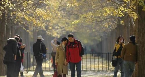 常吃|血管堵了不要怕,常吃这几样食物,助你疏通血管,血栓不来扰