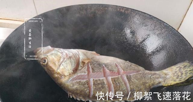 桂鱼|它是淡水鱼中的“极品”，四季都便宜，刺少肉嫩，孩子多吃长身体！
