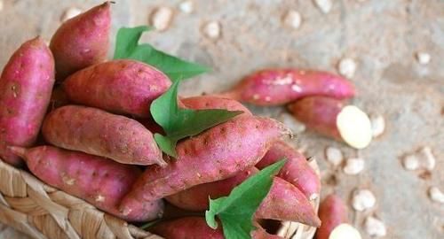 食物|会吃的人最健康，3种食物离不开，补充营养，提高免疫力