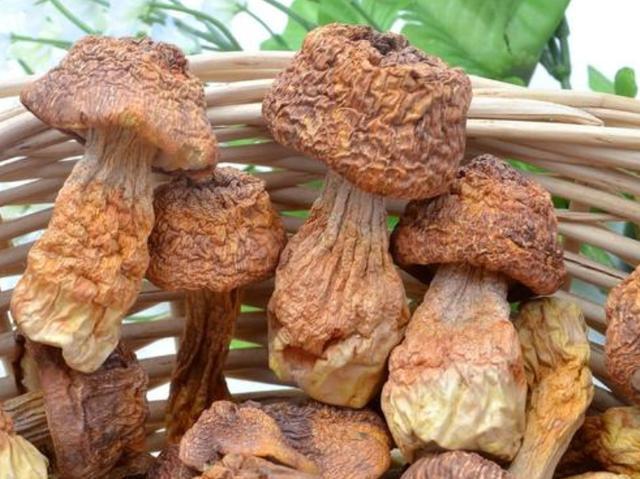 hpv|宫颈生了病,人的身上可能会出现2个变化,别不当一回事