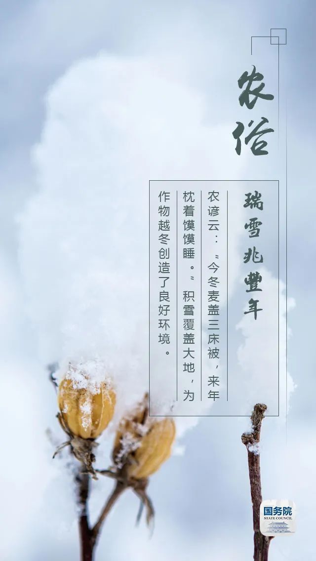  大雪|雪纷飞，仲冬始，大雪的这些你知道吗？