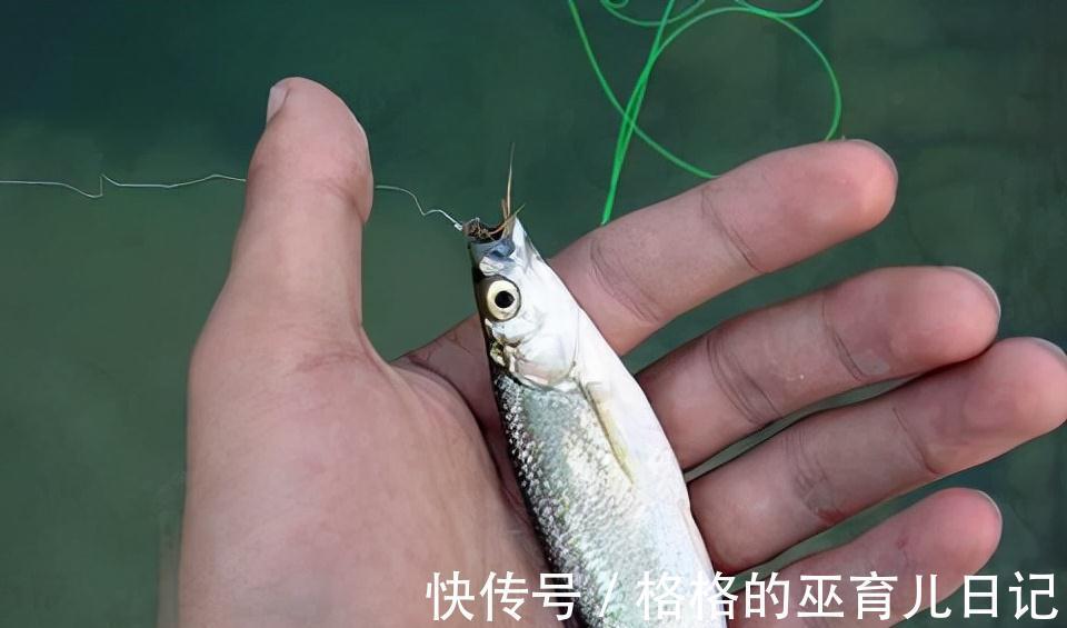 打窝良久不发窝,不一定是窝料的问题,可能打窝的方法不太对