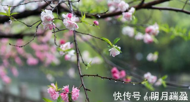 唐五代|120年前被发现的唐五代奇文,句句叠字开头,仅44字美得令人心醉