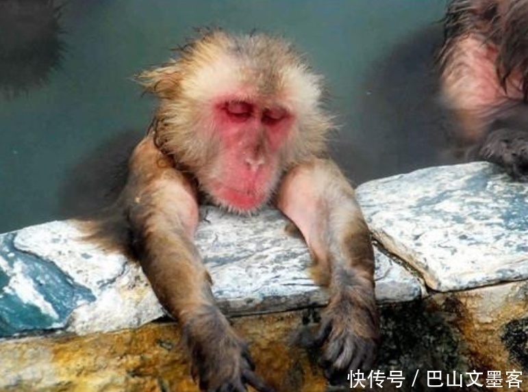 难怪连如来和老君都不敢进花果山活捉孙悟空,你看这是谁的道场?