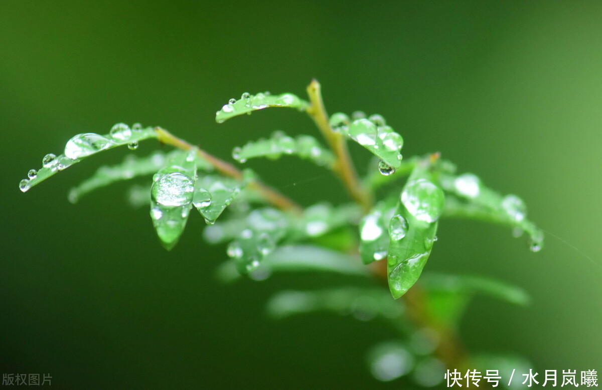  错过|雨是一生错过，雨是悲欢离合，雨是再也回不去的倾城往事