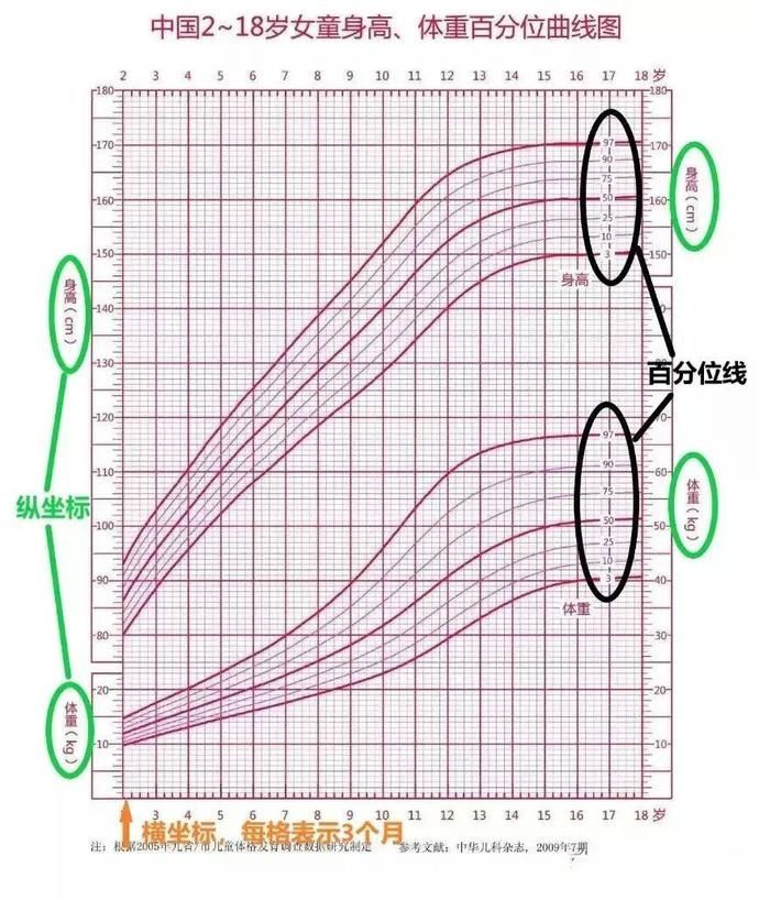 促进|关注生长发育促进儿童健康成长