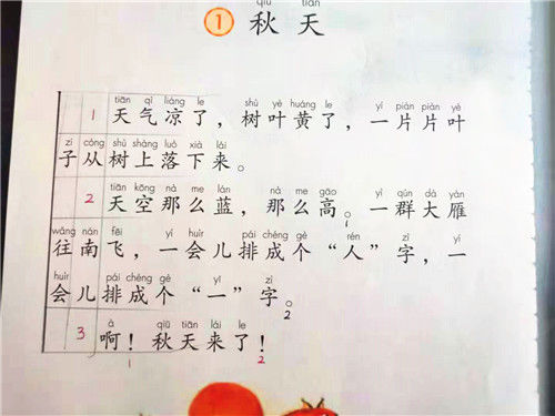 划分自然段|鸡山小学老师教你一招 添加格子划定自然段