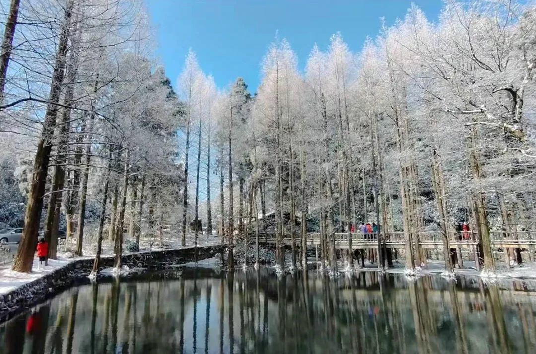 天台|天台绝美雾凇打卡地！这里有着南方人对冰雪的天然向往……