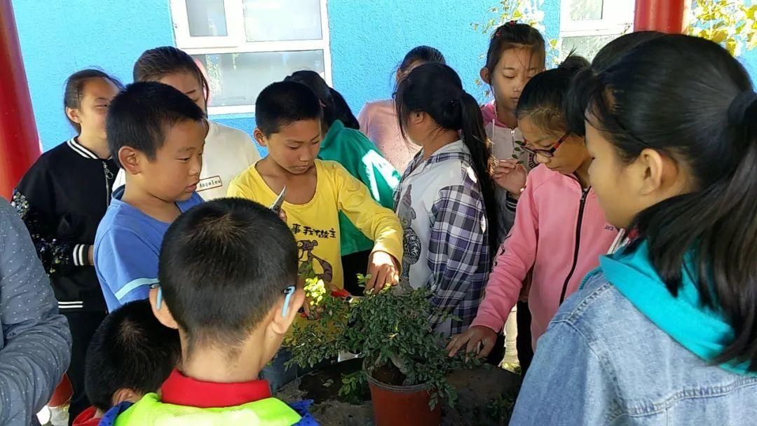 寓教于乐|【志愿服务我先行】小丰营小学：寓教于乐 服务社会