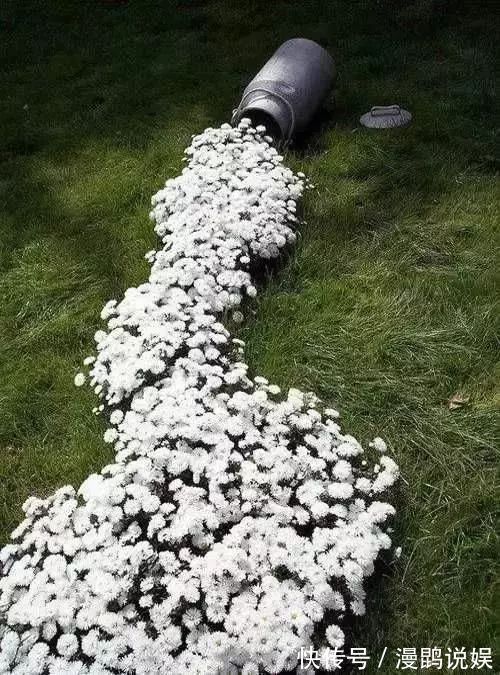 小花|别再花钱买普通花盆了,你意想不到的种花神器!