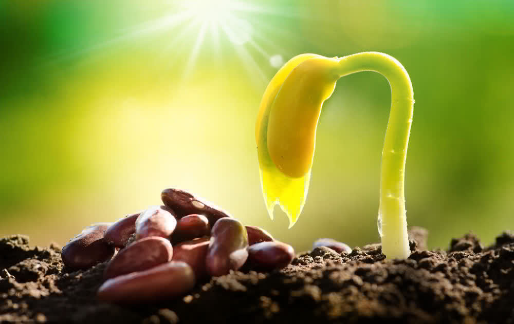 独立宣言#好运来临,必有前兆:一个人有这3个特征,往往是好运来临的开端