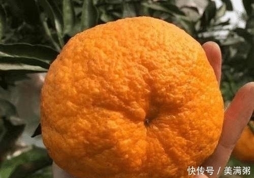 看完|你家还在吃丑橘吗现在知道不算晚,看完后请帮忙转告身边人