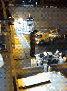 |搞笑GIF:大金毛估计是湖南的,四川重庆吃红辣椒,湖南就爱青椒