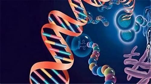 肿瘤细胞|肿瘤一般治不好,能治好的都是误诊了?肿瘤医生说出了心里话