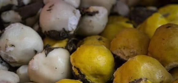 不愿意吃|这4种怀旧美食,是东北人童年的“阴影”,如今也只有老人会做了