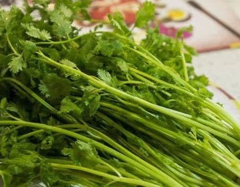 慢性滑膜炎|送你3种方法,10天巧治膝盖疼,连滑膜炎也一起消失了