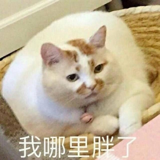 孕肚|6个月的孕妈吉娜亮相，巧遮孕肚，网友：这哪像怀孕了？