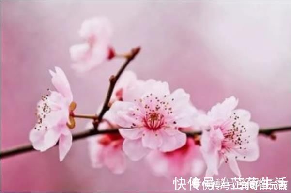 福禄|出生在以下4个“吉祥日”的人，命里注定福禄昌顺，大富大贵！