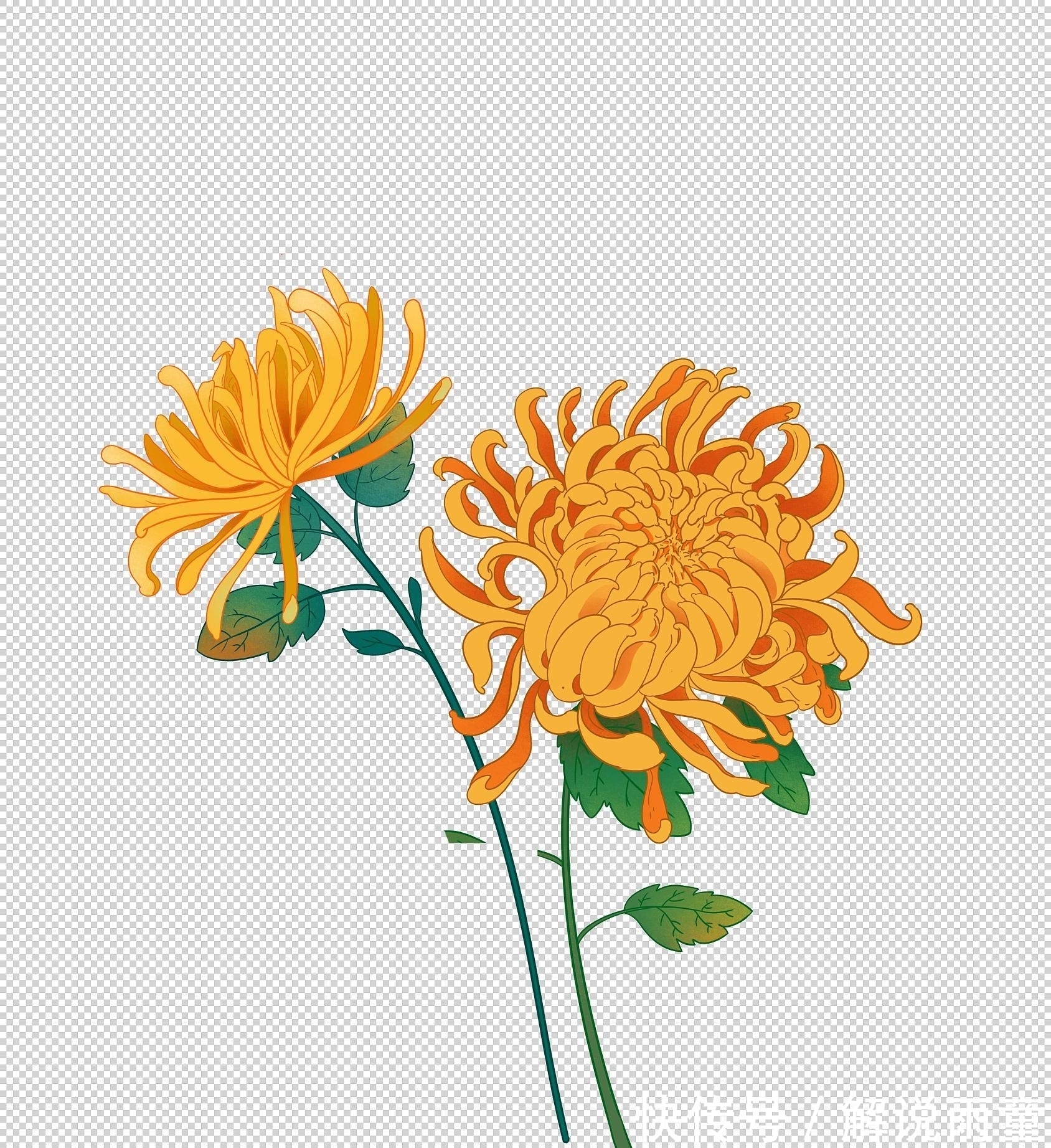 对韵&十大名花对韵:春来我不先舒蕊,雪里凭谁敢放花